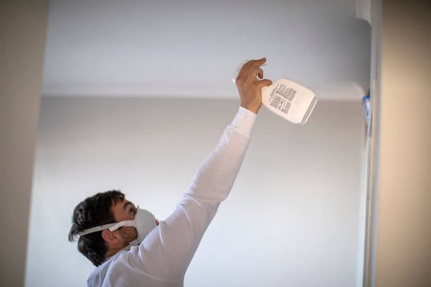 Best Kitchen Mold Remediation in Easton, CA