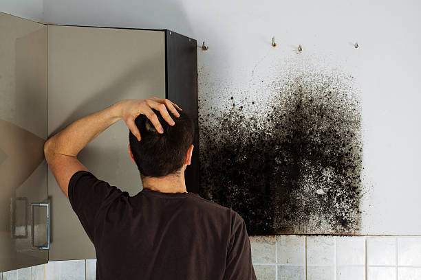 Best Mold Remediation for Specific Building Types in Easton, CA